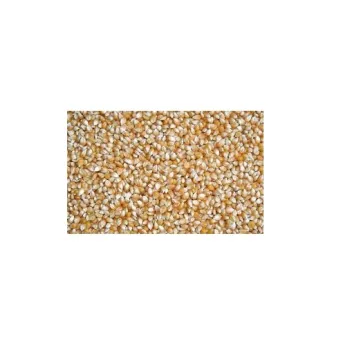 Kukurydza popcorn, drobna dla gołębi 1 kg